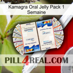 Kamagra Oral Jelly 1 Week Pack kamagra1